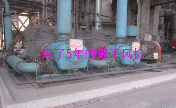 用了5年的脫硫氧化風機 用了5年的脫硫氧化風機